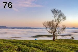 Akoestisch fotopaneel -dun 100x50x2-4cm - ook met een unieke foto -74