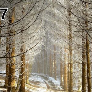 Akoestisch fotopaneel -dun 100x50x2-4cm - ook met een unieke foto -87