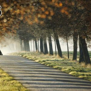 Akoestisch fotopaneel -dun 100x50x2-4cm - ook met een unieke foto -96