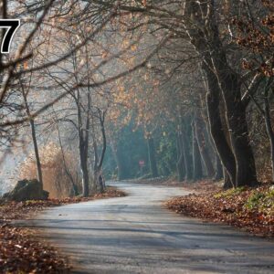 Akoestisch fotopaneel -dun 100x50x2-4cm - ook met een unieke foto -97