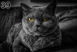 Akoestisch fotopaneel -dun 100x50x2-4cm - ook met een unieke foto -39