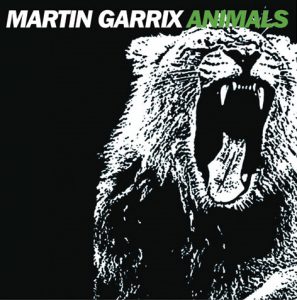 Martin Garrix dierenfoto